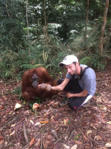 Ian crouching on the rainforest floor in Indonesia, holding hands with a Sumatran orangutan